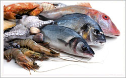 Indonesia Seafood Product